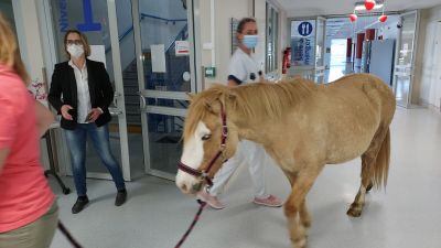 Visite Câline aux résidents